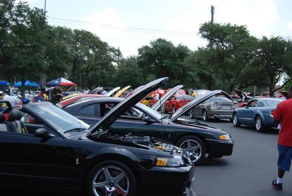 DSC_0142.webp