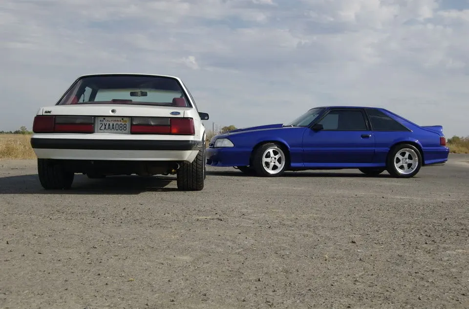 DSC_0146.webp