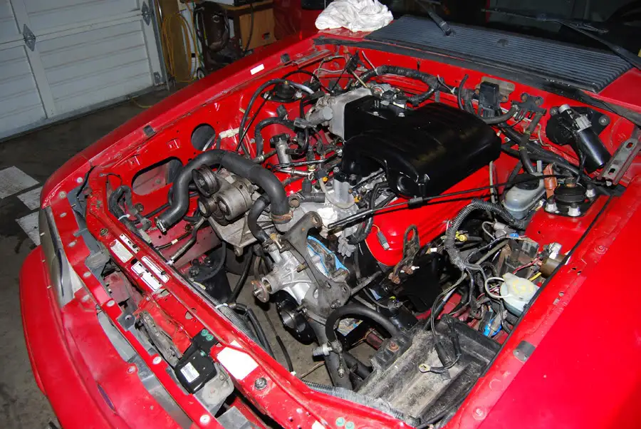 DSC_0150.webp