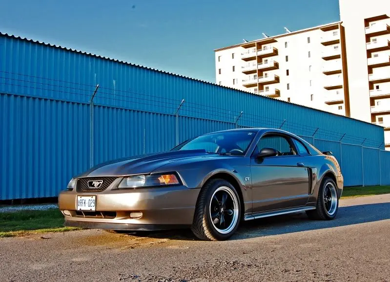 DSC_0150.webp