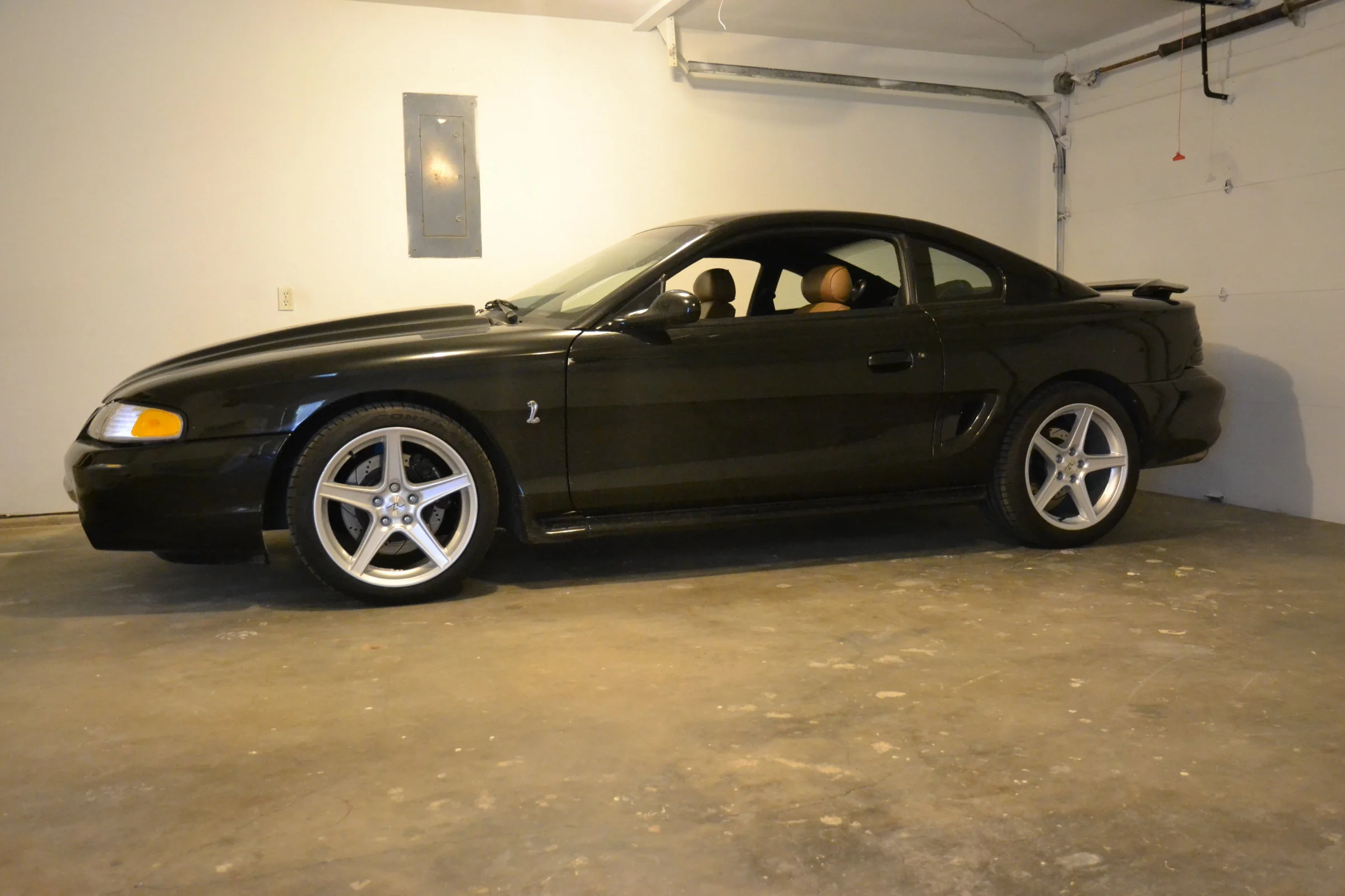DSC_0192.webp