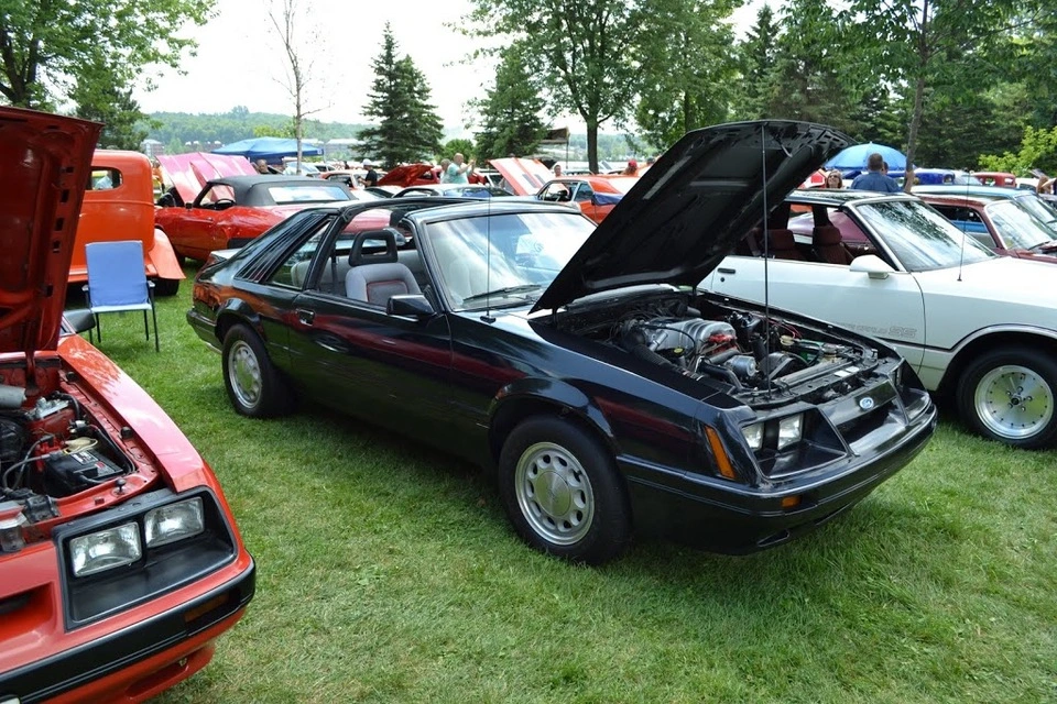 DSC_0198.webp