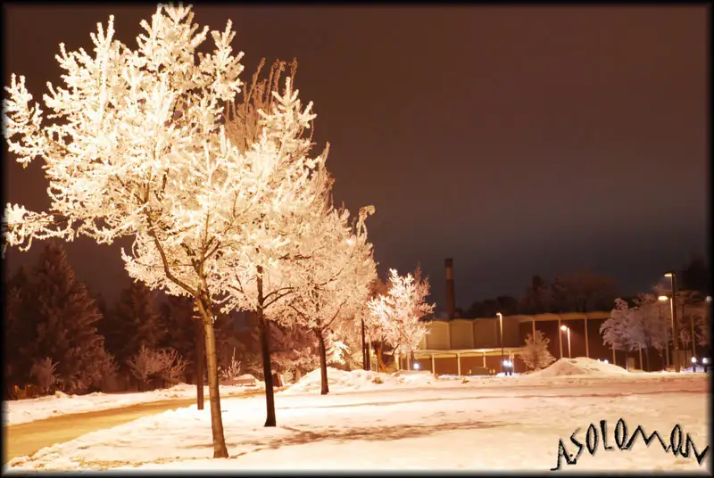 DSC_02031.webp