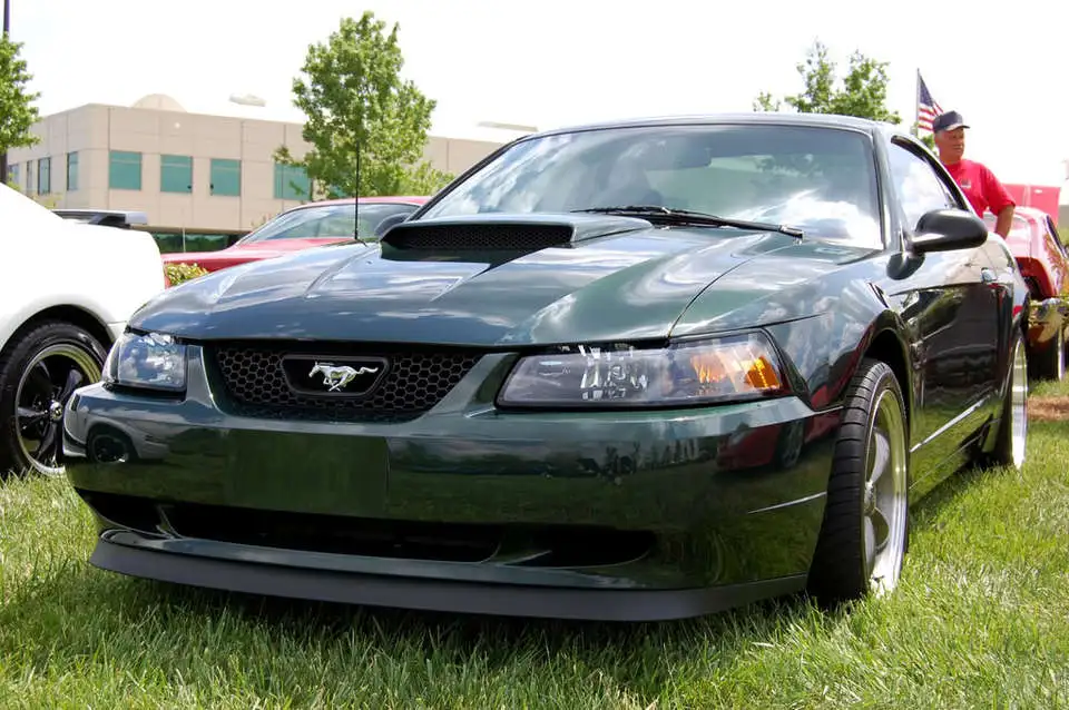 DSC_0204.webp