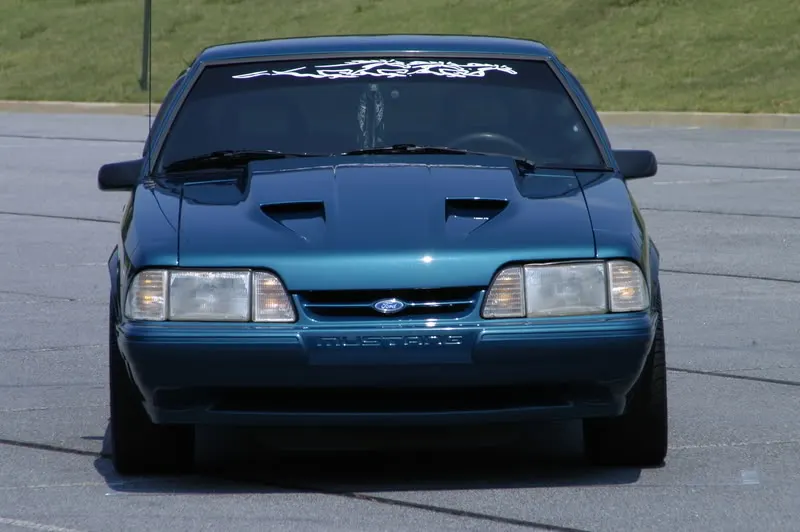 DSC_0217.webp