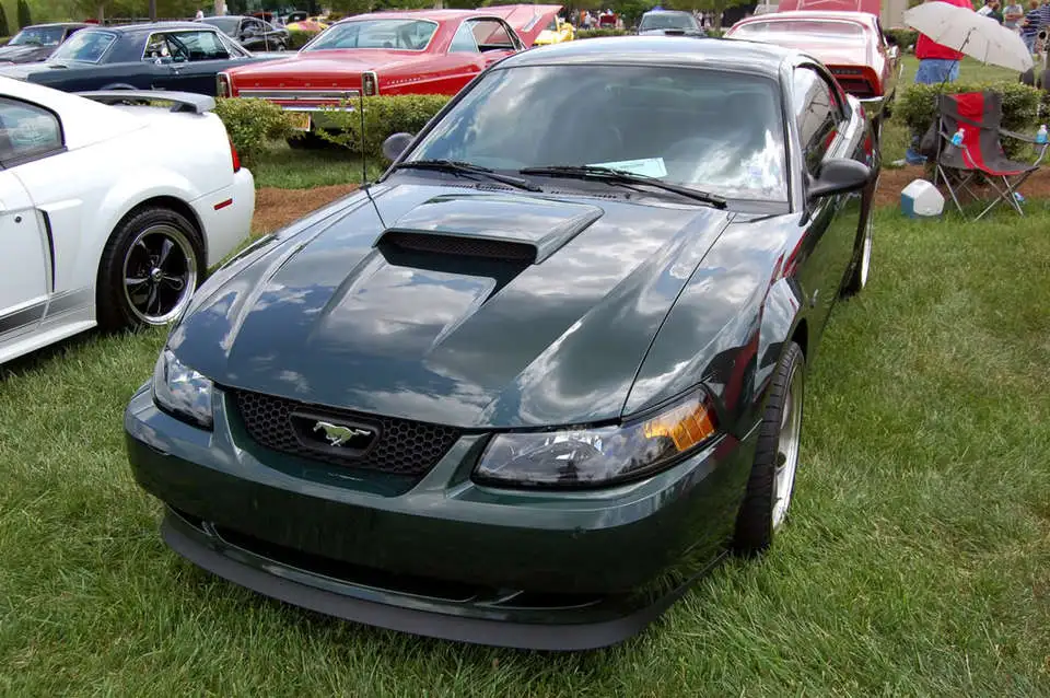 DSC_0221.webp