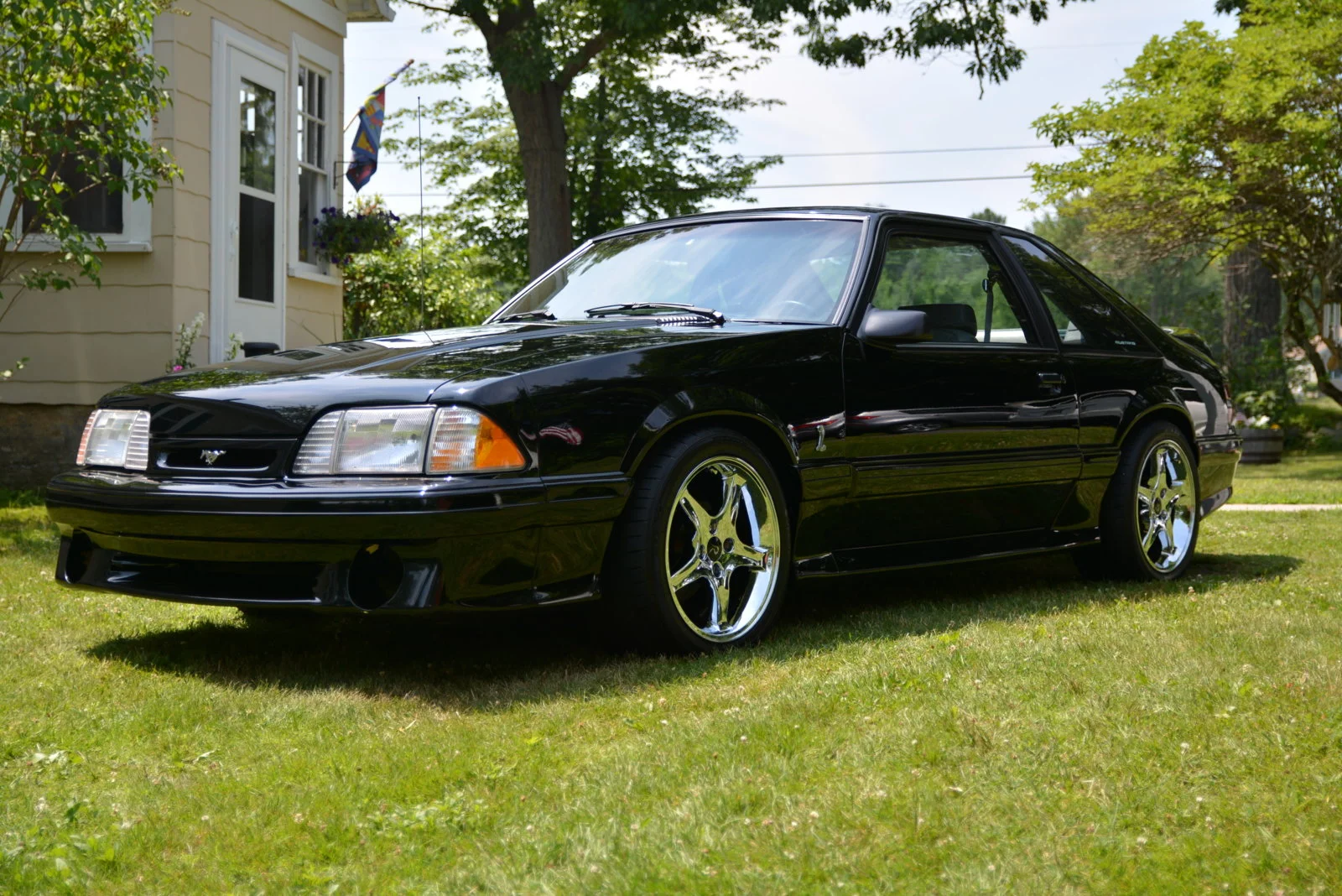 DSC_0252.webp