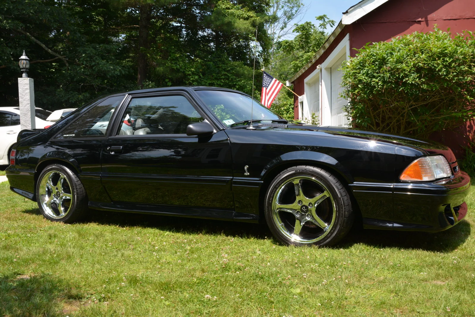 DSC_0257.webp