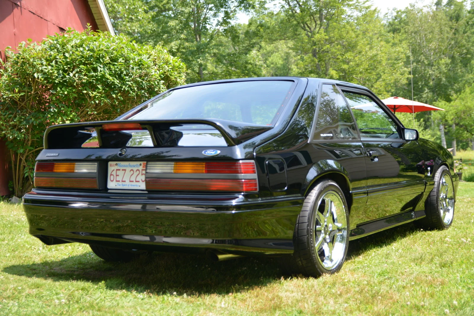 DSC_0261.webp