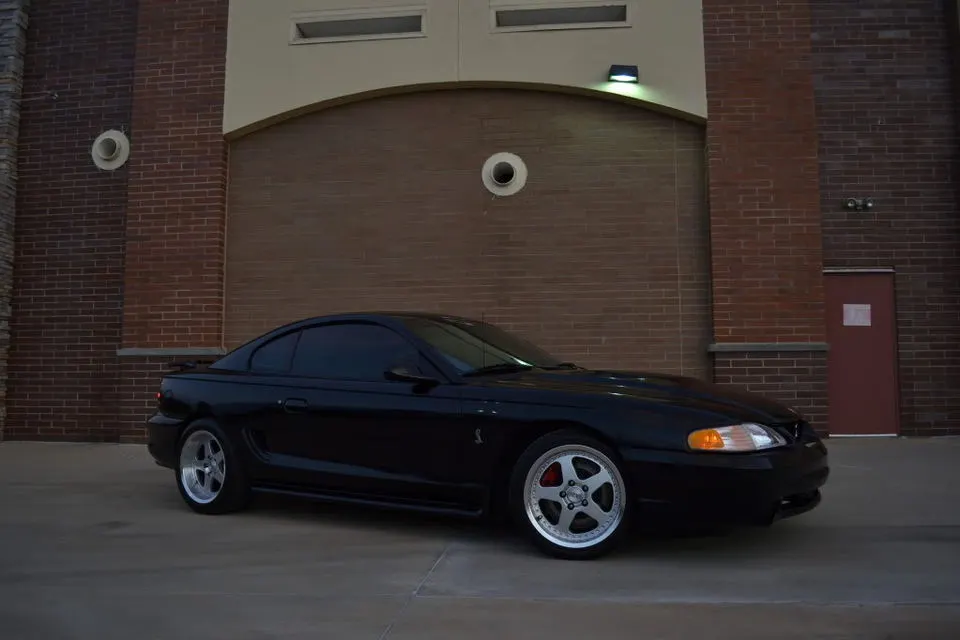 DSC_0269.webp