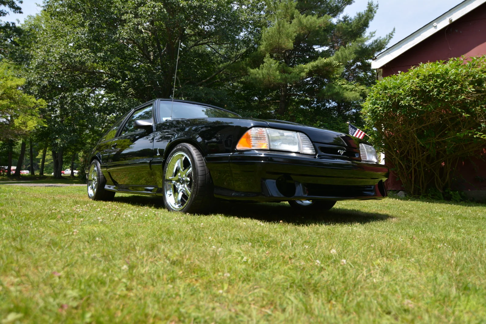 DSC_0278.webp