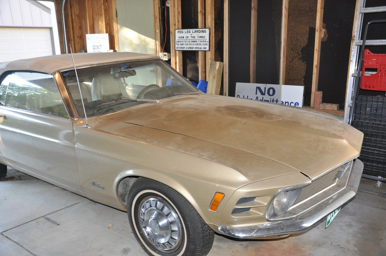 DSC_0297.webp