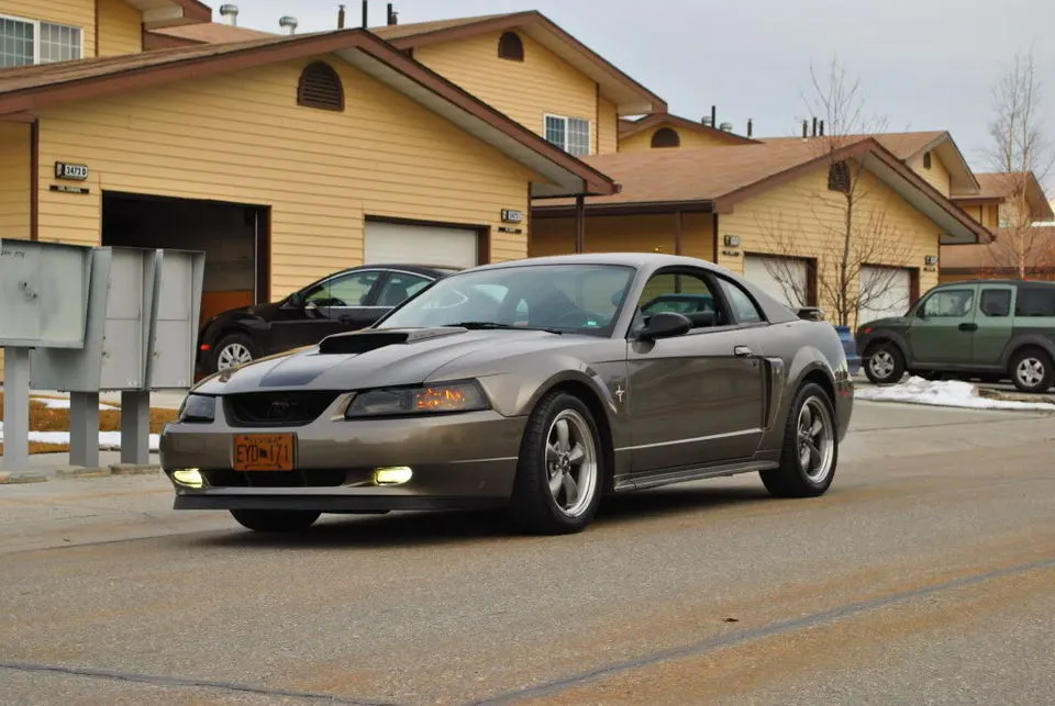 DSC_0301.webp