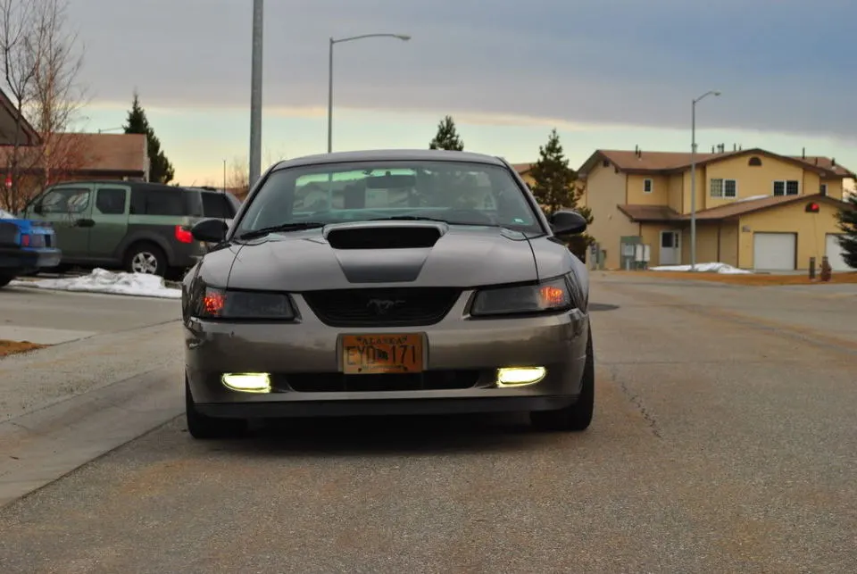 DSC_0302.webp