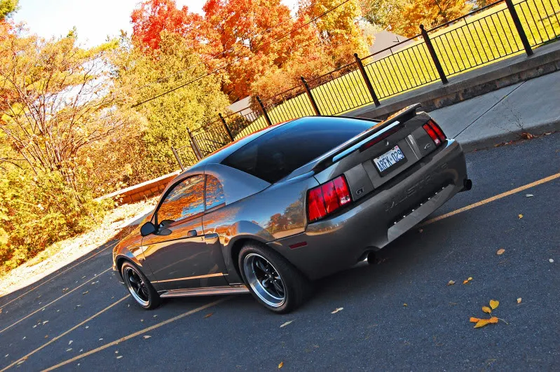 DSC_0304.webp