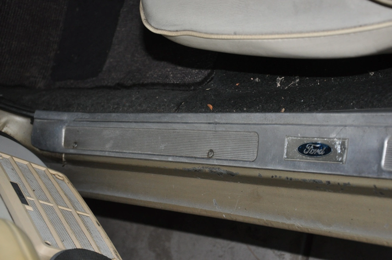 DSC_0304.webp