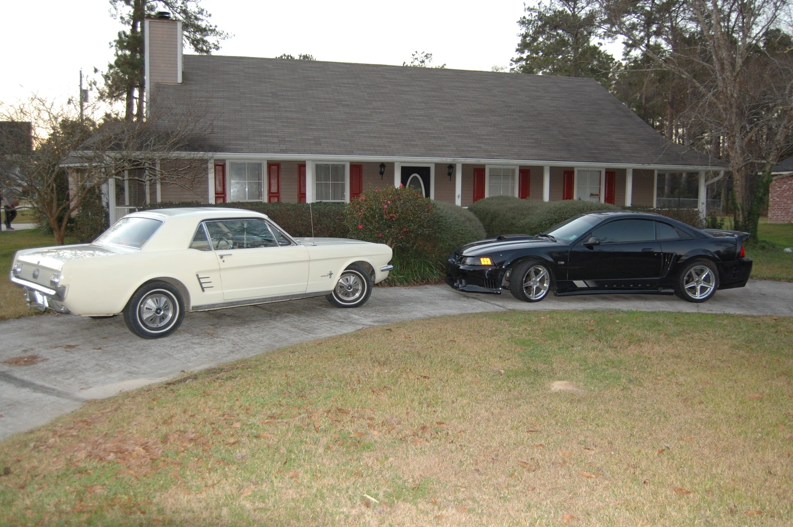 DSC_0304_054.webp
