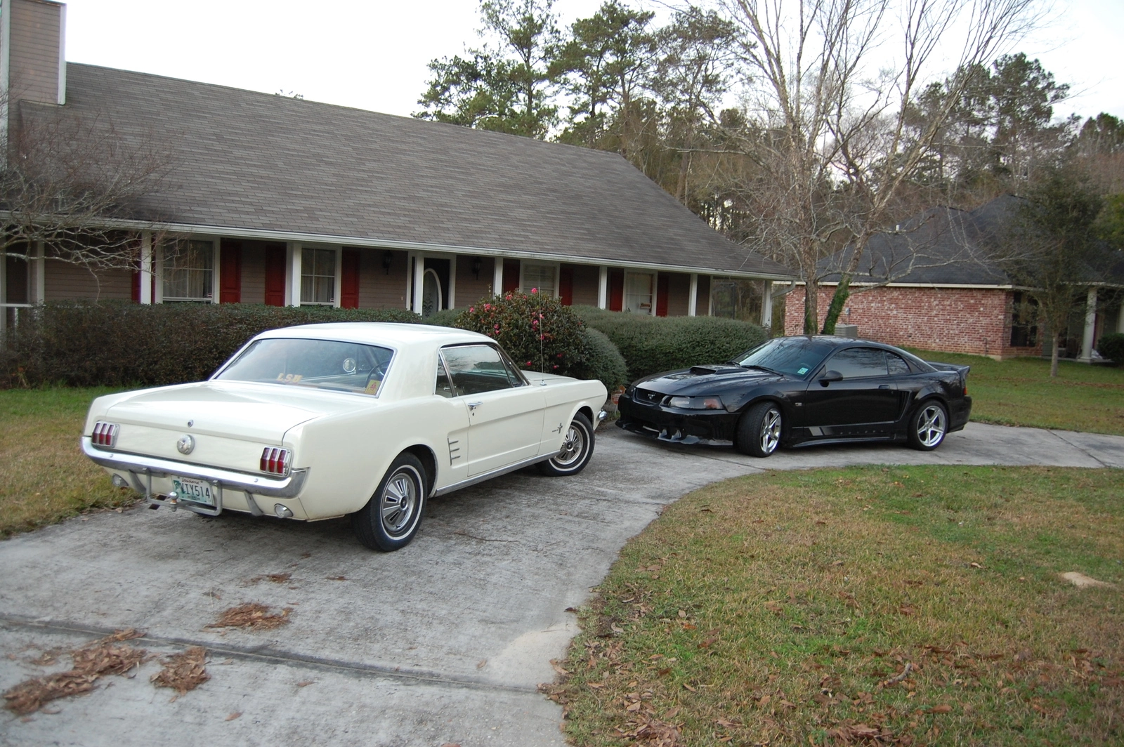 DSC_0308_056.webp