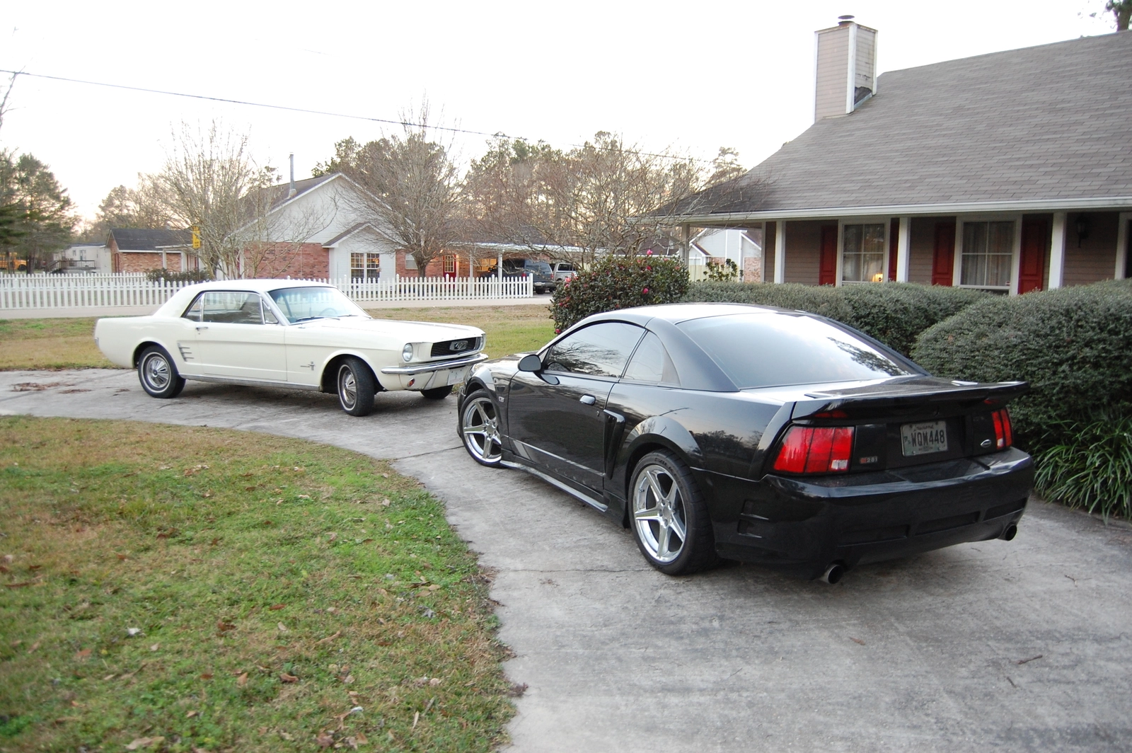 DSC_0309_058.webp