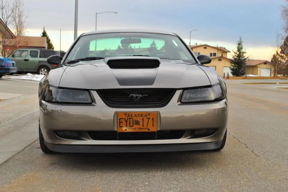 DSC_0311.webp
