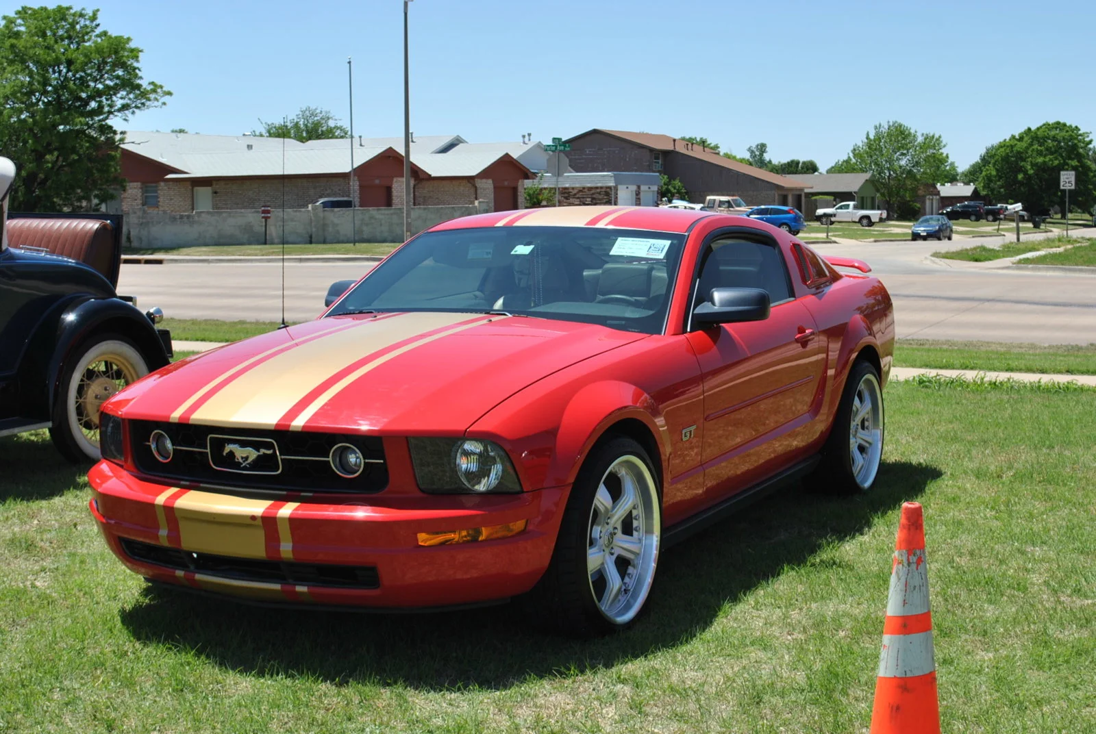 DSC_0328.webp