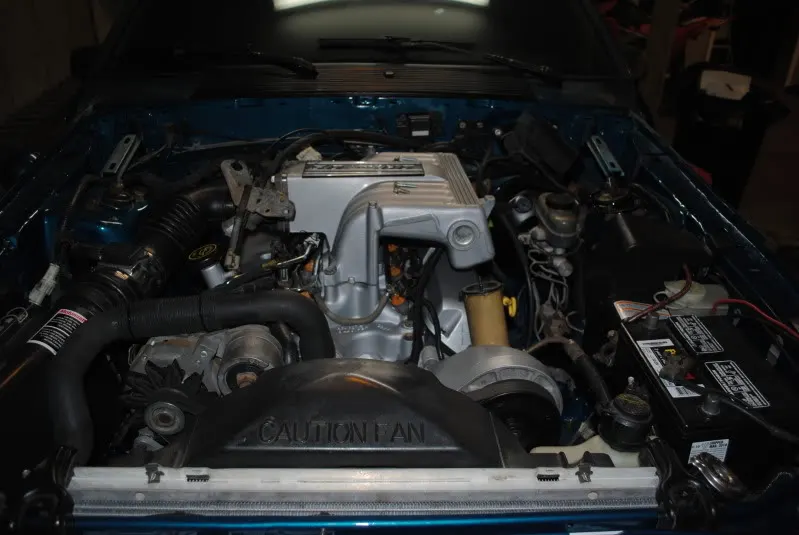 DSC_0391.webp