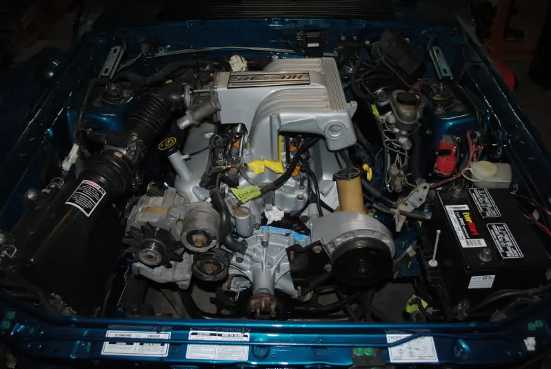 DSC_0393.webp