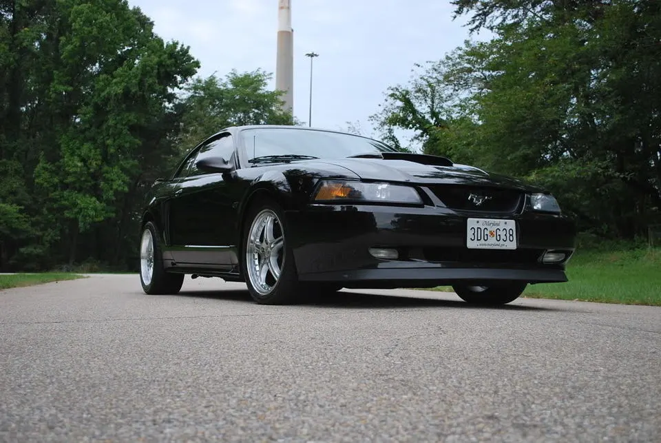 dsc_0399.webp