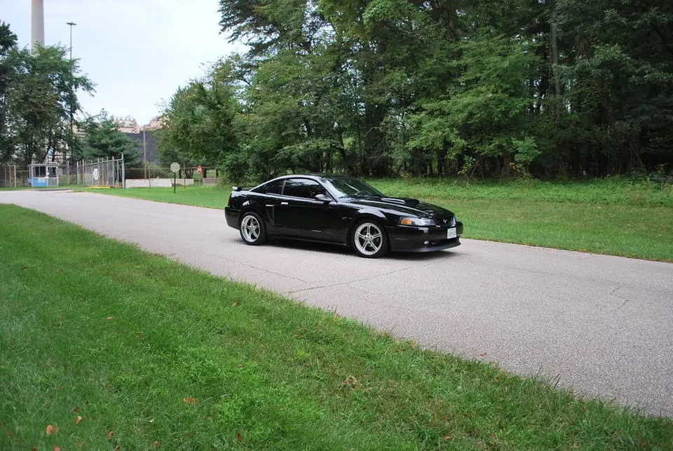 dsc_0408.webp