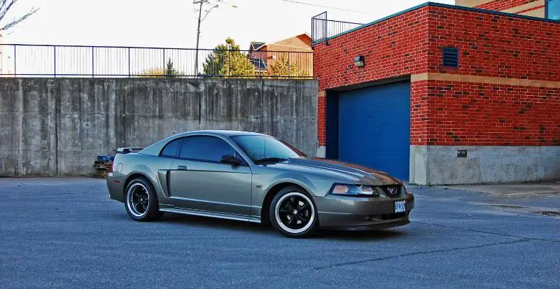 DSC_0451.webp