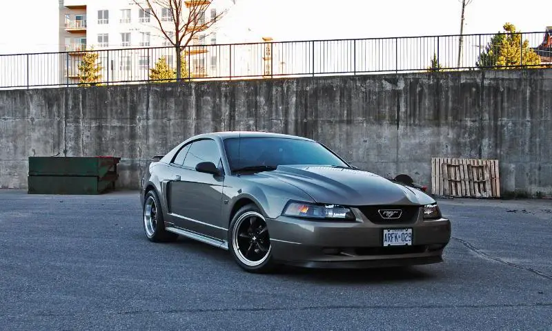 DSC_0454.webp