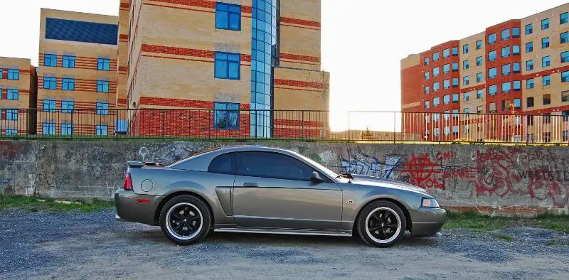 DSC_0461.webp