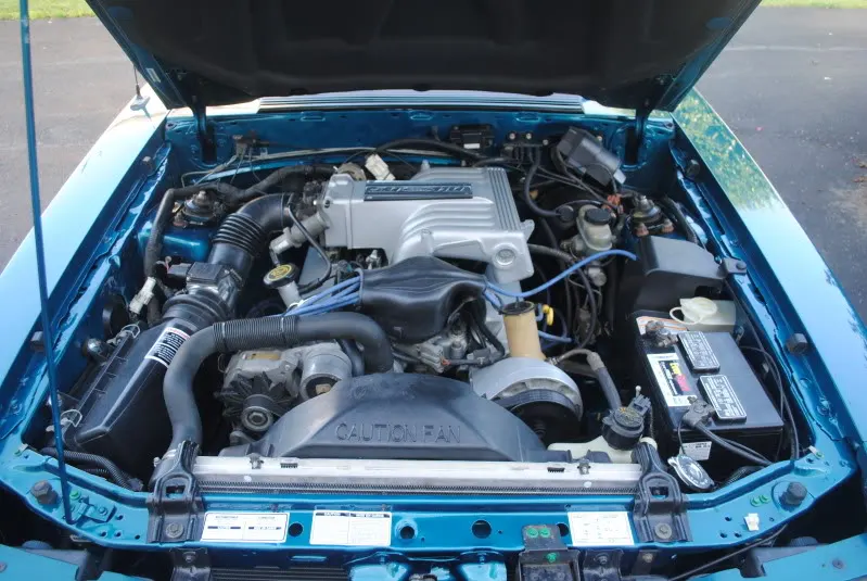 DSC_0482.webp