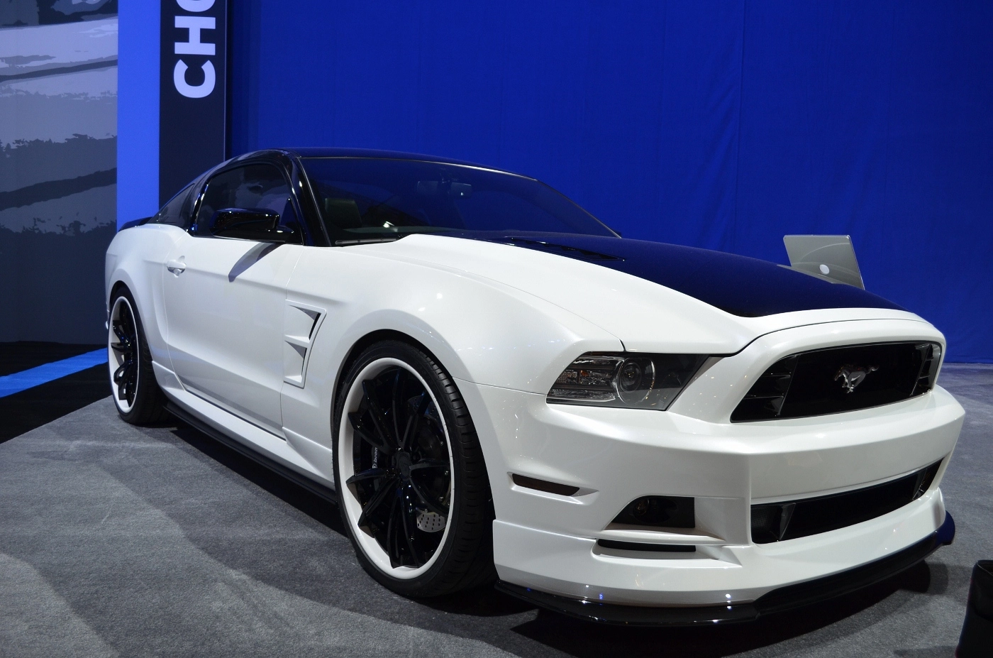 DSC_0512 (1400x927).webp