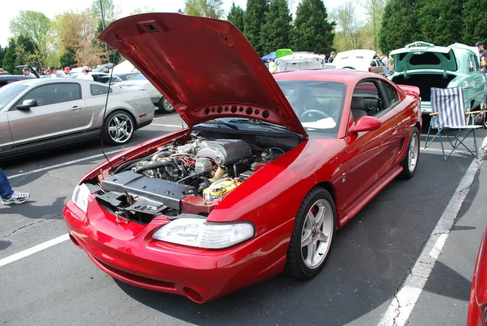 DSC_0536.webp