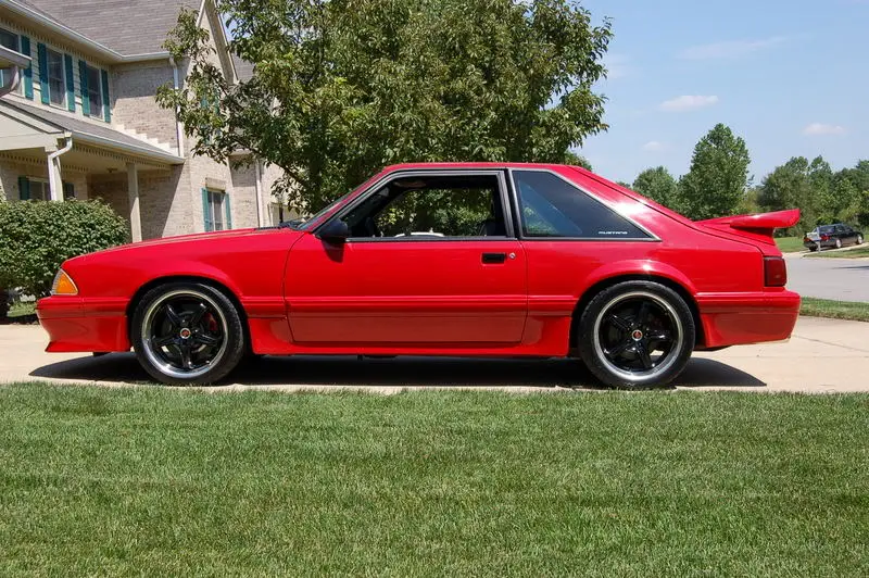 DSC_0560.webp