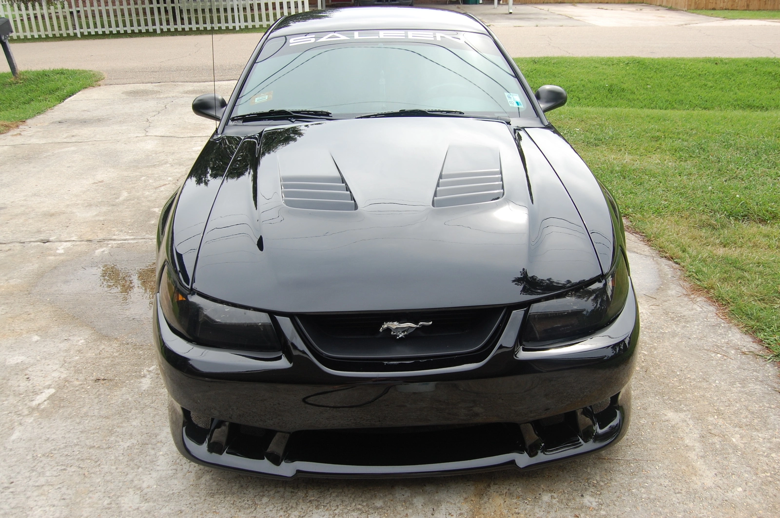 DSC_0657_256.webp