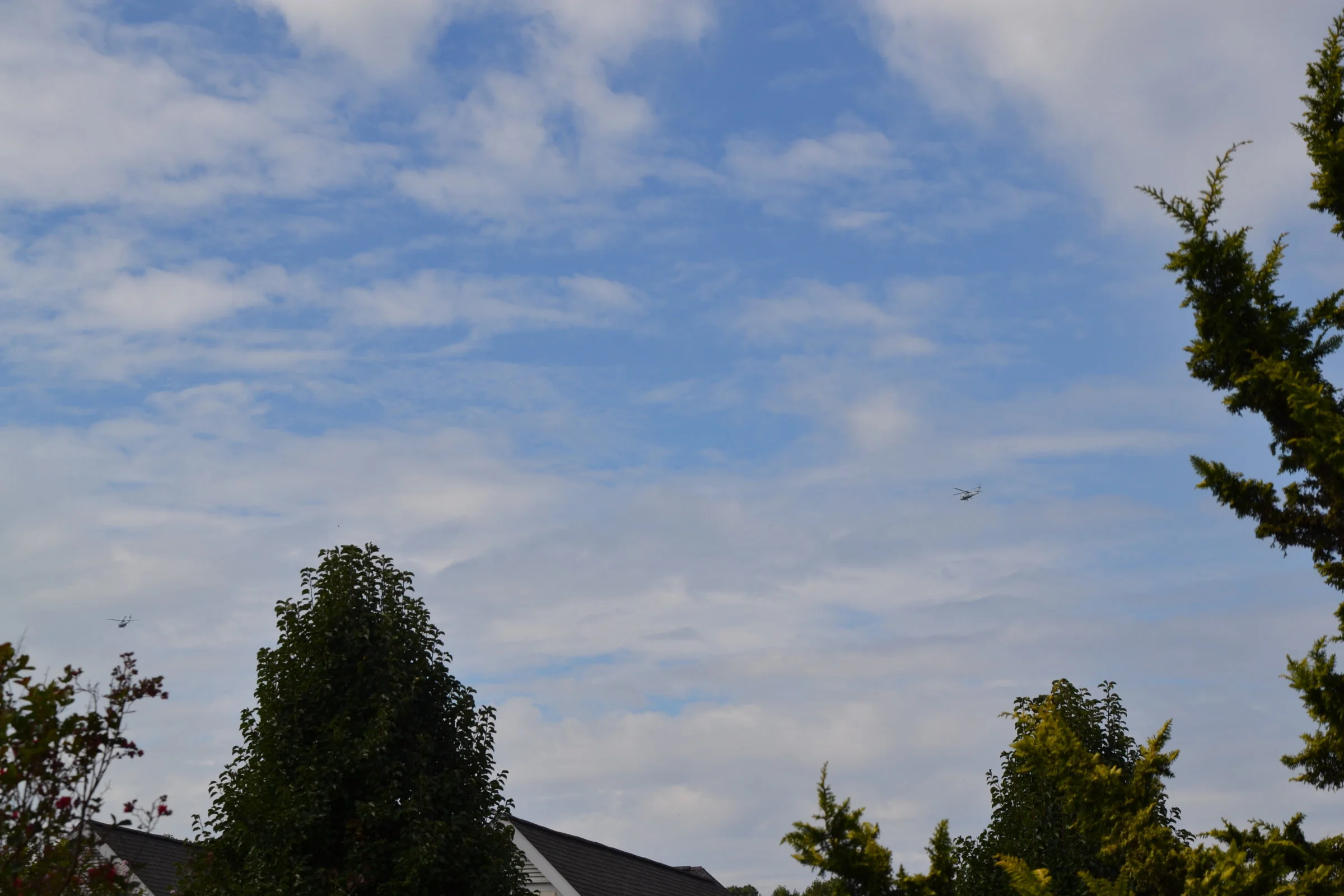DSC_0704.webp