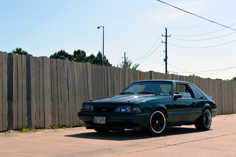 DSC_0787_zpscad89990.webp