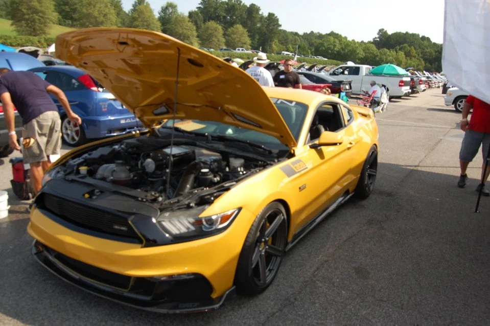 DSC_0789_318.webp