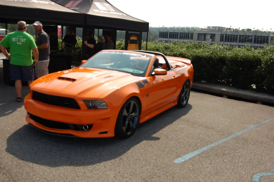 DSC_0790_319.webp