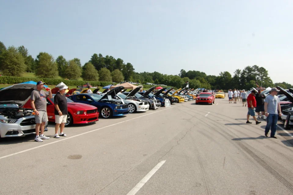 DSC_0796_325.webp
