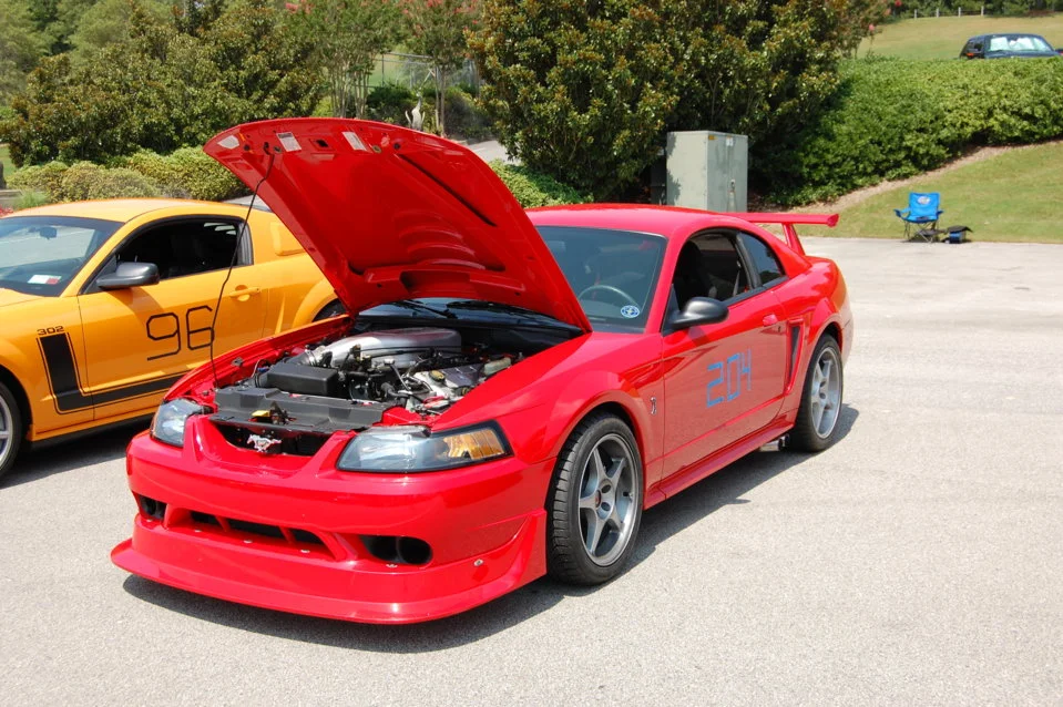 DSC_0800_329.webp