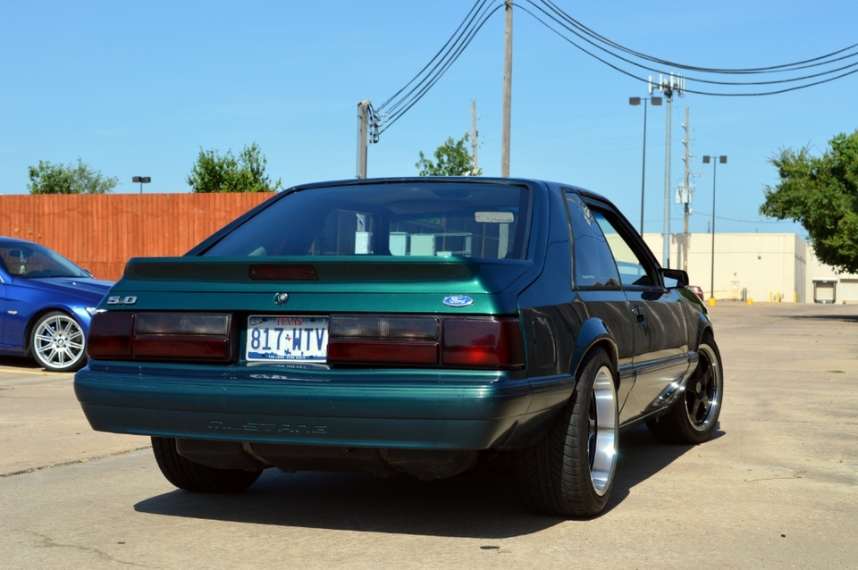 DSC_0800_zps466f7f67.webp