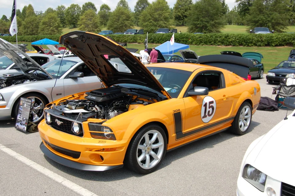 DSC_0802_331.webp