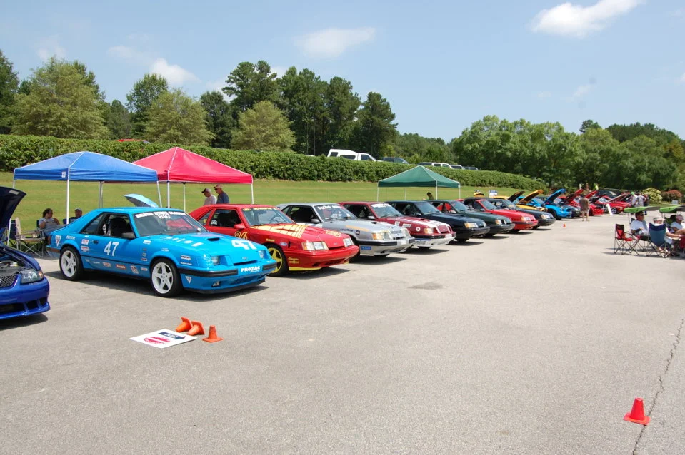 DSC_0804_333.webp