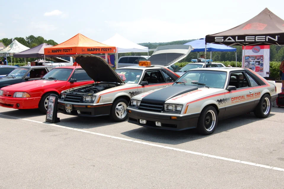 DSC_0805_334.webp