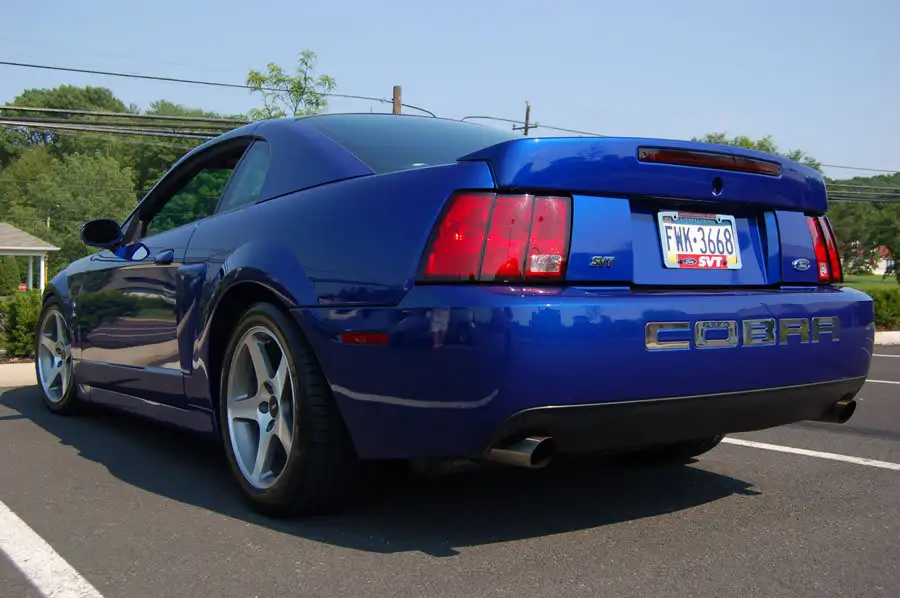 DSC_0993.webp