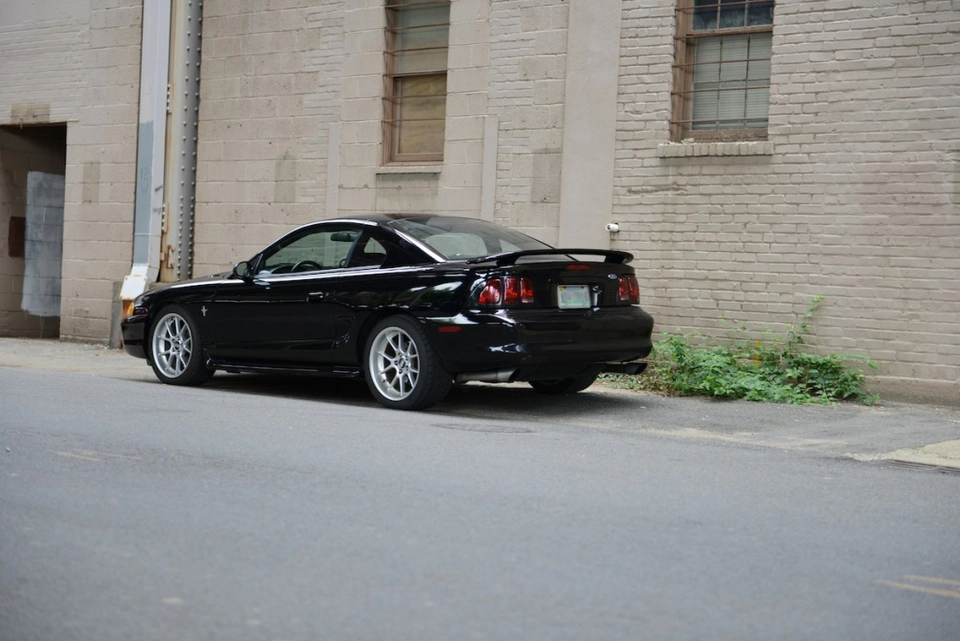DSC_1104.webp