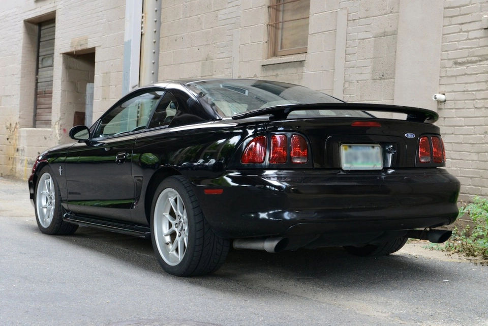 DSC_1106.webp